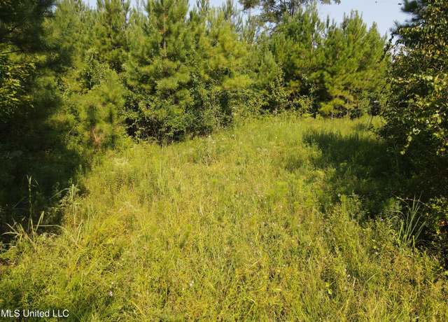 Property at 000 Davis Rd, Purvis, MS 39475