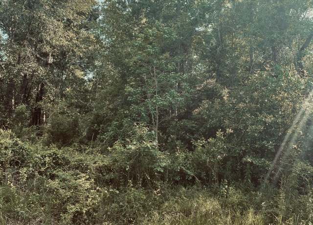 Property at Lots 19&20 East Adams St, Bay Saint Louis, MS 39520