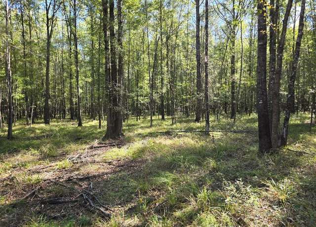 Property at 000 Dogtown Ln, Hazlehurst, MS 39083