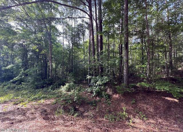 Property at 916 Virgin Mary Rd, Camden, MS 39045