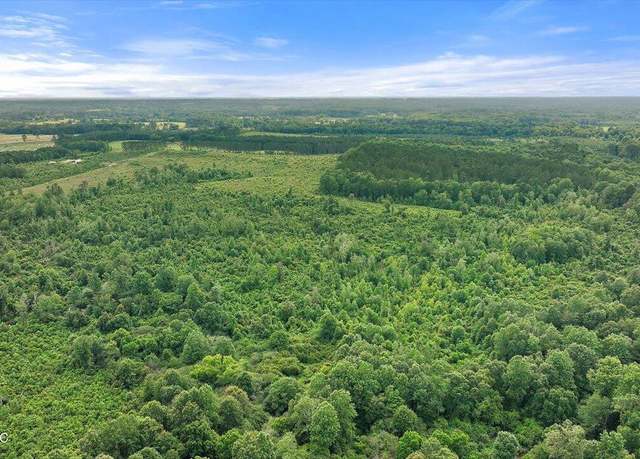 Property at Undisclosed address, Mize, MS 39116
