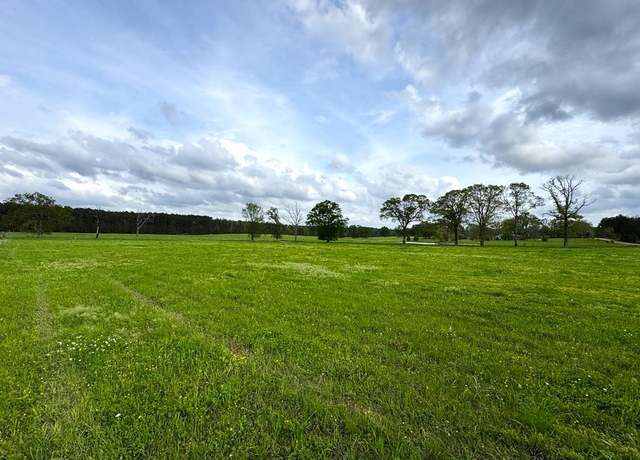 Property at 2451a Dalton Ln, Smithdale, MS 39664