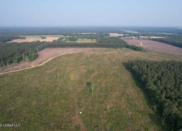 Property at Mink Branch Rd, Pelahatchie, MS 39145
