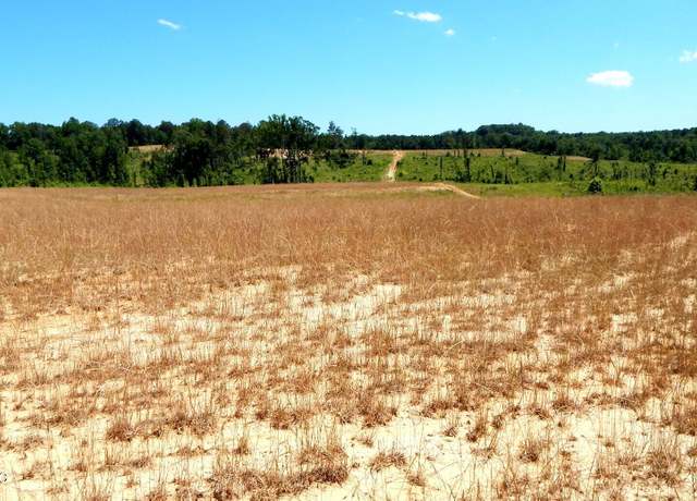 Property at 210 Hugh White State Park Rd, Grenada, MS 38901
