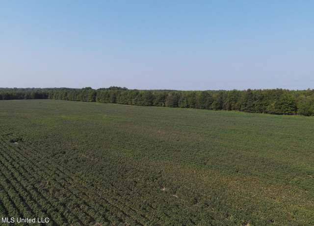 Property at Clayton, Marks, MS 38646