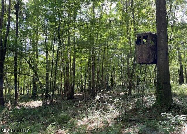 Property at Pettey Rd, Forest, MS 39074