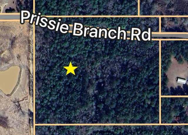 Property at Nhn Prissie Branch Rd, Perkinston, MS 39573