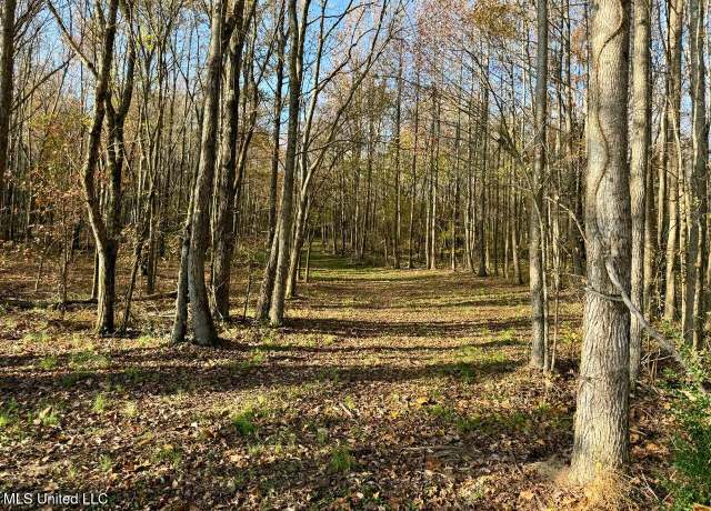 Property at 6 Mill Pond Rd, Lamar, MS 38642