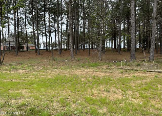 Property at Z-56 Reunion, Madison, MS 39110