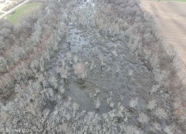 Property at County Road 526, Minter City, MS 38944
