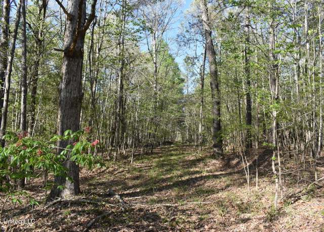 Property at 0 Leonard Ln, Holly Springs, MS 38635