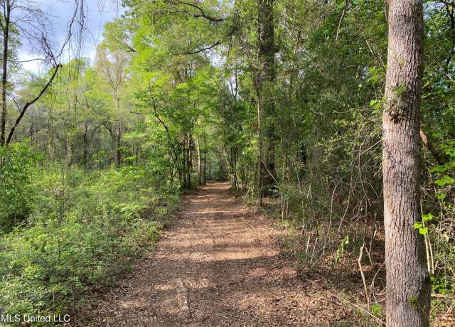 Property at 2.14 Acres Beaver Damn, Lucedale, MS 39452