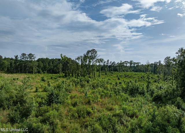 Property at 22 Acres Mol Todd Rd, Sumrall, MS 39482