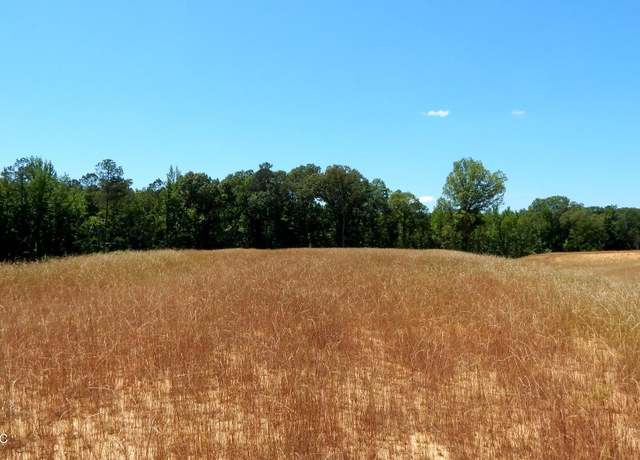Property at 206 Hugh White State Park Rd, Grenada, MS 38901
