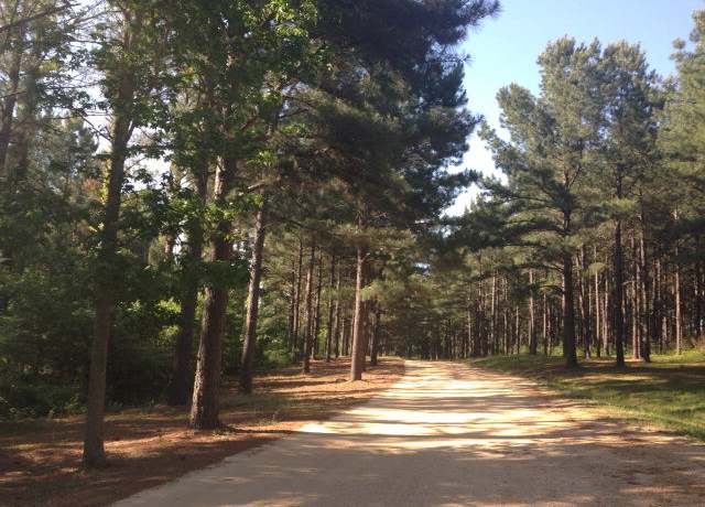 Property at 853 Springwater Ranch Rd, MS