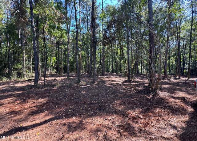 Property at Xxx Mag Hville Rd, Mccomb, MS 39648