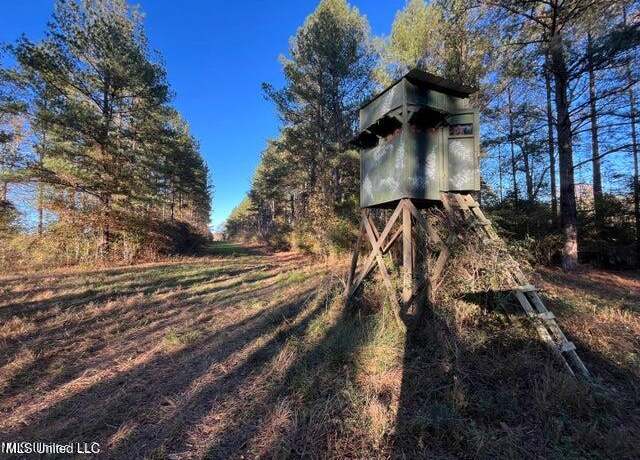Property at Hwy 11, Heidelberg, MS 39439