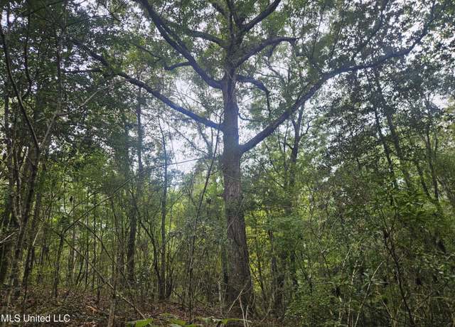 Property at Simpson Hwy, Mount Olive, MS 39119