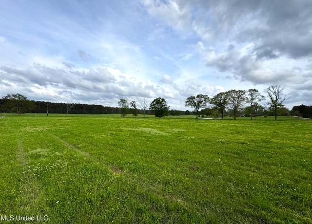 Property at 2451a Dalton Ln, Smithdale, MS 39664