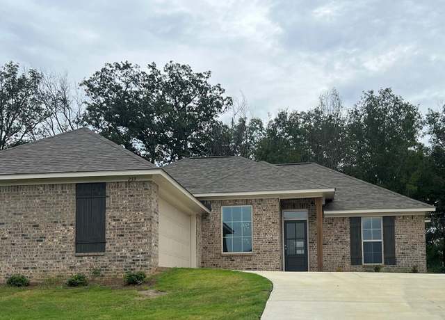 Property at 233 Hemingway Cir, Canton, MS 39046, 4 beds, 2 baths