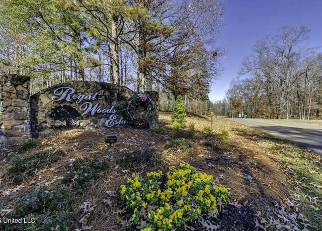 Property at 0 Suzanna Dr, Raymond, MS 39154