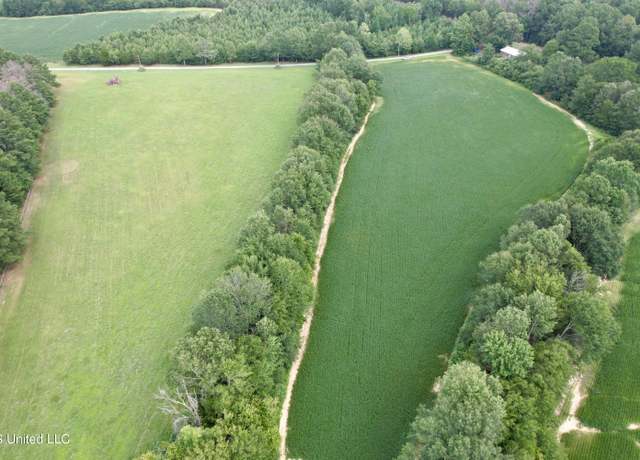 Property at Leesburg Rd, Pelahatchie, MS 39145