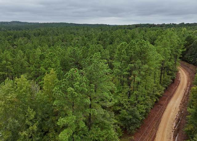 Property at County Road 53, Coila, MS 38923