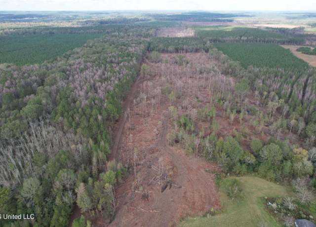 Property at Holly Bush Road Rd, Pelahatchie, MS 39145