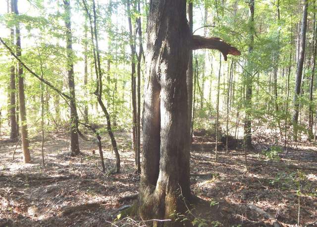 Property at 404 247 Country Road, Bruce, MS 38915