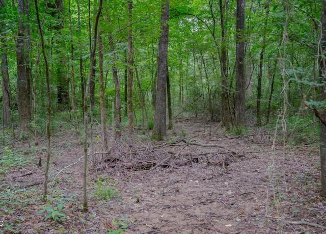 Property at Oooo Big Creek Rd, Byram, MS 39272