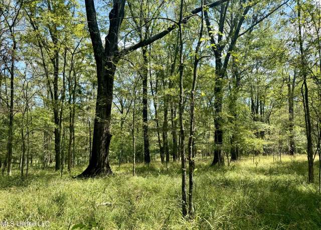 Property at 00001 Williamson Rd, Clinton, MS 39056
