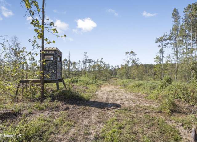 Property at 1998 Berwick Cassels Rd, Liberty, MS 39645