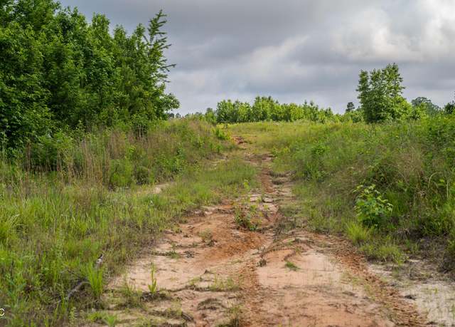Property at 0000 Dixie School Hwy, Toomsuba, MS 39364