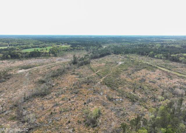 Property at Highway 53, Perkinston, MS 39573