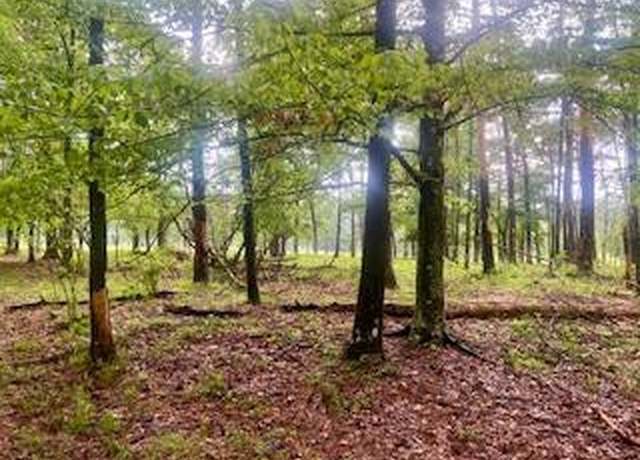 Property at 450 Apple Trl, Bogue Chitto, MS 39629