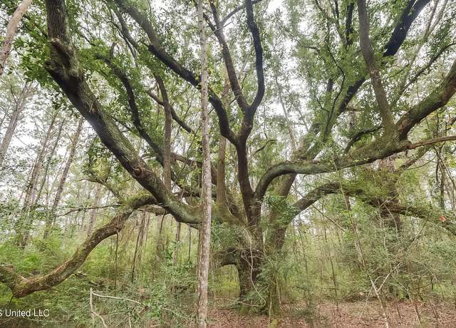 Property at 000 Broome School Rd, Perkinston, MS 39573