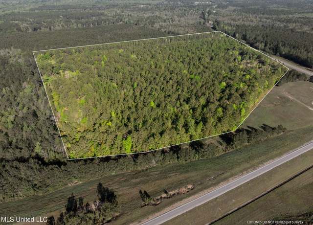 Property at Old Hwy 63 N, Leakesville, MS 39451