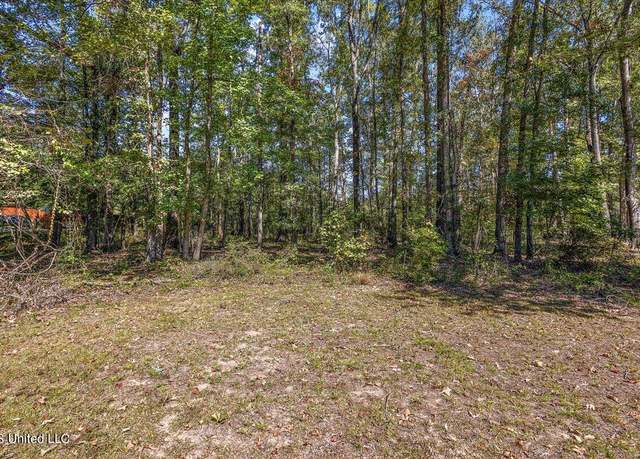 Property at 00 Herring Dr, Raymond, MS 39154