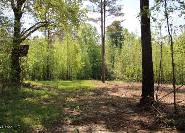 Property at Newport Road Rd, Lexington, MS 39095