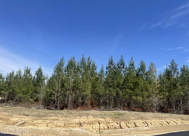 Property at 728 Freedom Rdg, Brandon, MS 39047