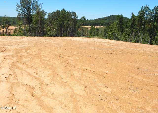 Property at 101 Hugh White State Park Rd, Grenada, MS 38901