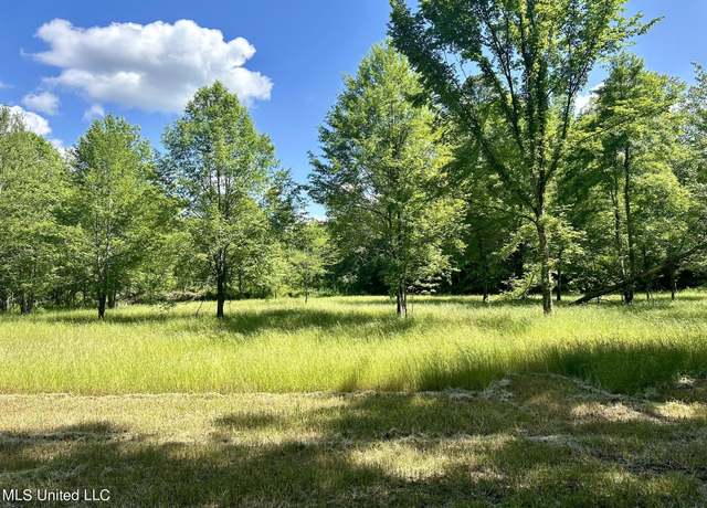 Property at County Road 4005, Goodman, MS 39079