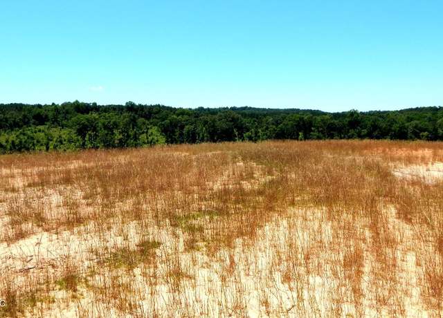 Property at 103 Hugh White State Park Rd, Grenada, MS 38901