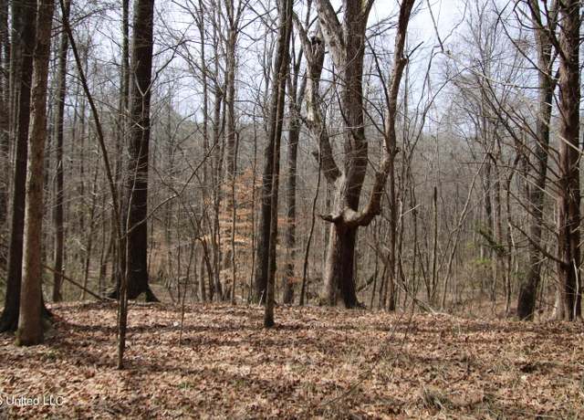 Property at 10321 Ebenezer-coxburg Road Rd, Lexington, MS 39095