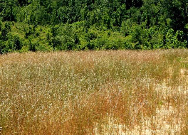 Property at 104 Hugh White State Park Rd, Grenada, MS 38901
