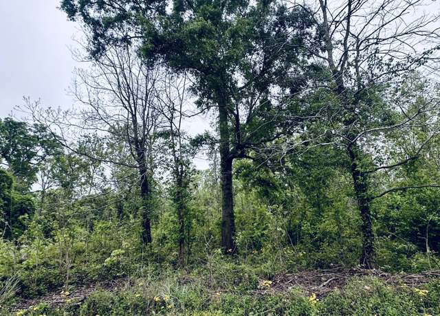 Property at Pecan Grove Rd, Woodville, MS 39669