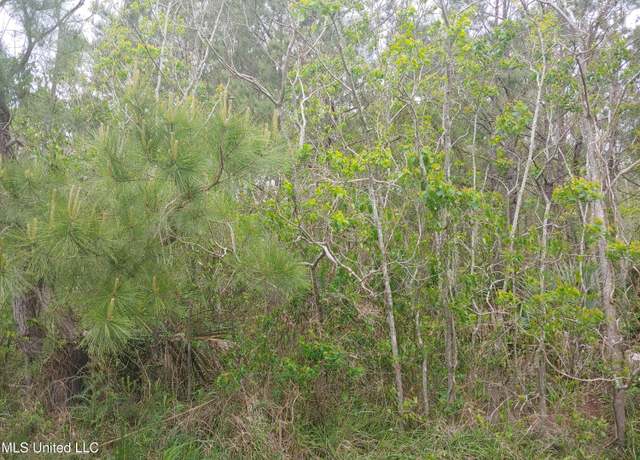 Property at No Pearl St, Bay Saint Louis, MS 39520