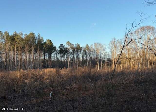 Property at 16178 Highway 13, Lena, MS 39094
