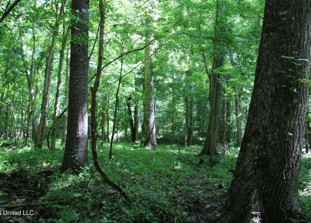 Property at 2936 Smith Rd Rd, Yazoo City, MS 39194