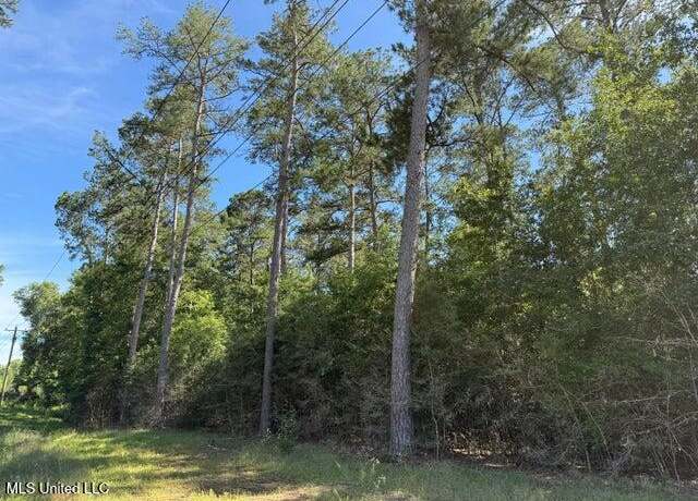 Property at 2 Acres Hwy 49, Collins, MS 39428